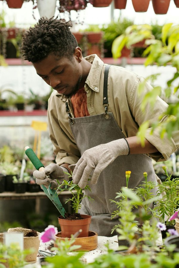 Comment choisir des plantes pour un jardin de bordure qui nécessite peu d'entretien ?